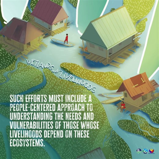 #WWD2026 || Integrating Traditional Knowledge, Leveraging Wetland Management 🧵🏞️ Just 4 more days away before World Wetlands Day! As wetlands support human existence, traditional livelihoods are also enriched, such as: 🌽harvesting and processing medicinal plants, 🌽agriculture, 🌽fisheries, 🌽health, 🌽horticulture, 🌽forestry, and 🌽environmental management. With culturally grounded approaches, economic opportunities flourish while protecting certain species and areas for ecological balance.