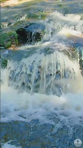 Crystal Blue Stream Flow – 8s Nature Short #naturesounds #streamsoflivingwaters