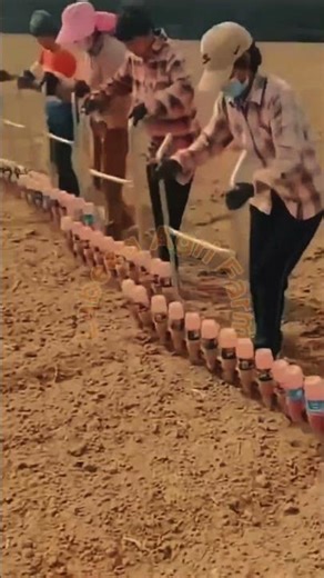 Innovative Seedling Planting Tools: High-Efficiency Manual Techniques 🚜🌱💥