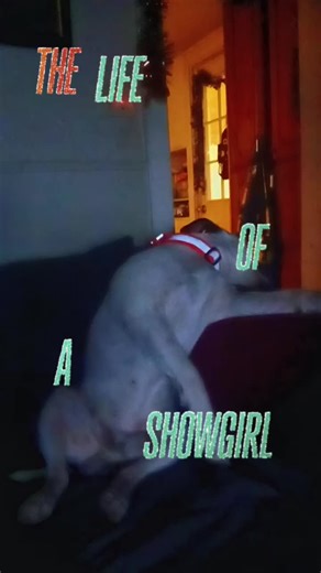 David Patterson (@david.patterson050)’s videos with original sound - Donald Hub 🦆