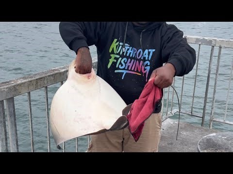 Batray 🦇 Caught! Tamed! Released🔥