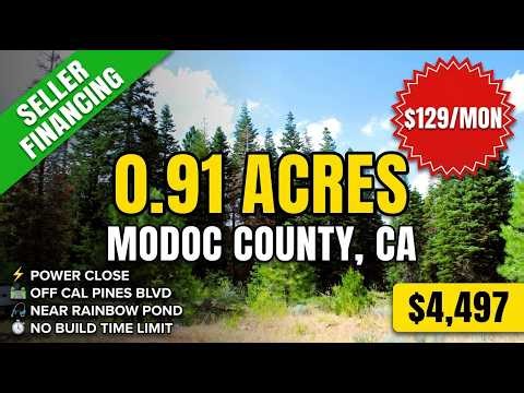 0.908 Acres in California Pines, CA | Power Nearby & Road Access | Seller Financing | 21014