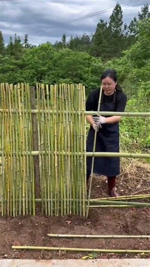 🌿 Eco-Friendly Bamboo Fencing: Smart American Backyard Privacy Hack! 🇺🇸 #shorts