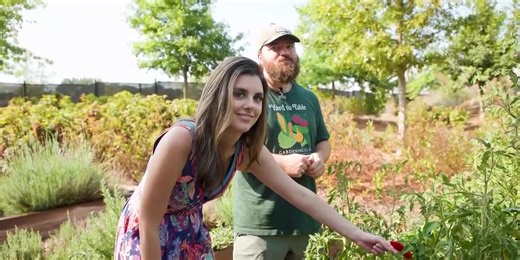 The Orion Amphitheater amplifies guest experience through sustainability