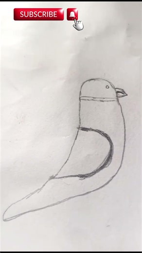 Parrot Drawing From Number 5 🦜✨ Easy Number Drawing Tutorial #shorts# #drawing#art #pencilportrsit