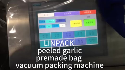 LINPACK EU Standard Fully Automatic High Efficiency Vacuum Peeled Garlic Clove Premade Pouch Rotary Packing Machine