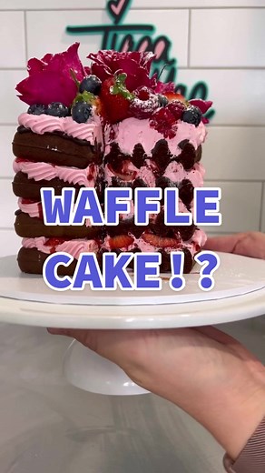 Sunbeam Waffle Maker Review and Cake Recipe