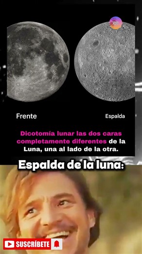 las caras de la luna #humor #memes #memesgraciosos