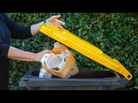 Are you putting the right plastics in your recycling bin?