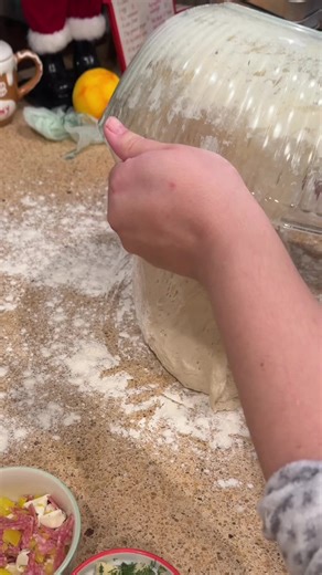 the taste testing was chaotic and very unexpected so stay tuned 😂 #sourdoughflight #sourdough #sourdoughinclusions