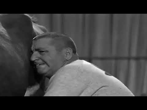 The Three Stooges 🔴 Busy Buddies 🔴 The Three Stooges Full Episodes #1080p