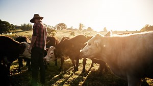 People want to ‘rant and rave’ about a Korean dairy ad and not ‘pay attention to detail’