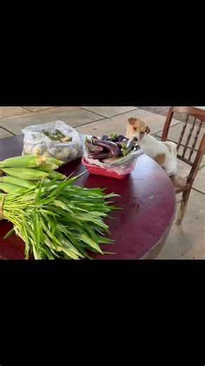 ទឹកមុខអ្នកលក់😄