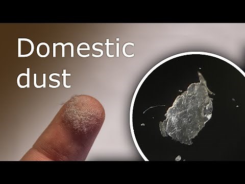 What Is Dust Made Of? House Dust Under a Microscope (100x-1000x)