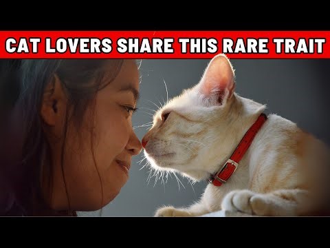 People Who Love Cats Often Share This Hidden Strength – Do You Have It?