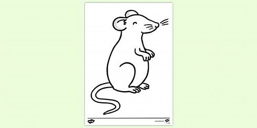 Field Mouse Colouring Sheet