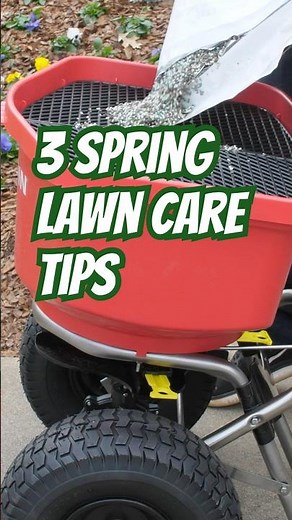 3 Spring Lawn Care Tips from DoMyOwn.com