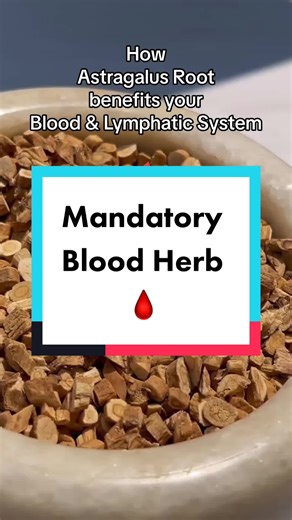 How astragalus root benefits your blood & lymphatic system: 1. Helps stimulate the production of white blood cells. 2. Anti-inflammatory properties & immune system stimulant. 3. Promotes healthy blood pressure & blood circulation. You can get Astragalus Root in Restored by Life’s blood & lymphatic tincture. #wellness #astragalus #astragalusroot #detox #cleanse #tincture #naturalmedicine