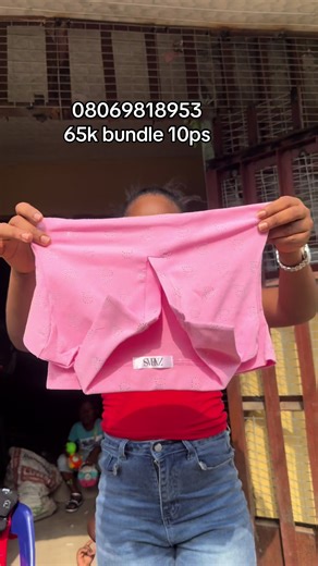 Minecraft Stitch Skin and American Airlines 2666