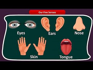 CLASS 1 - ABOUT US - EVS | PRIME THE SCHOOL OF EXCELLENCE