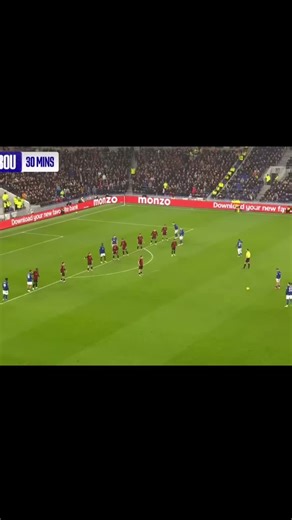 Everton's Struggles in the Premier League