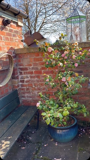 Ready for the season#beechfarmcottagestetne | Beech Farm Cottages