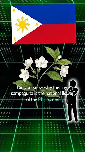Sampaguita: The Philippines’ National Flower
