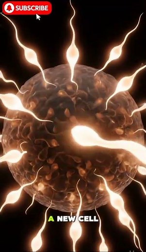 Female Reproductive System Explained in 3D | Uterus, Ovaries & Fallopian Tubes Animation