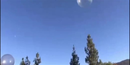 Watch wubble bubble ball on Amazon Live