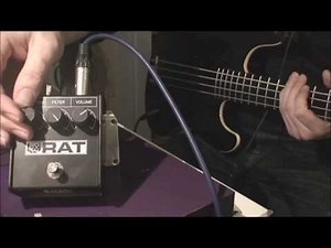 Proco RAT Whiteface '85 Reissue - Bass Try Out