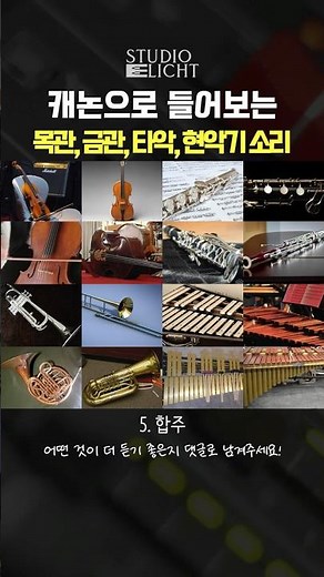 캐논으로 들어보는 다양한 오케스트라 악기 소리 #현악기 #목관악기 #금관악기 #타악기 #오케스트라 #클래식 #영화음악 #음악 #작곡