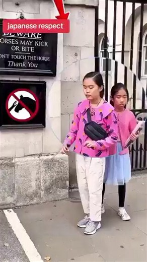 バッキンガム宮殿近衛兵「キングス・ガード（King's Guard）の警護している場所は線が引かれていて入っては行けない場所🙅‍♂️他国の人達が中に入って注意や「チャージャーズ（Chargers：軍馬）」に噛まれるなど……日本人の優しさと相手に対する敬意(リスペクト)見事です🙏