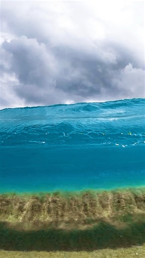 4.2M views · 39K reactions | Crystal clear wave at sandy beach! #ocean #oceanwaves #oceanview #clearwater #reels | Dgphotography | Facebook