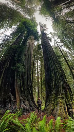 180K views · 23K reactions | How to make better pictures in the...