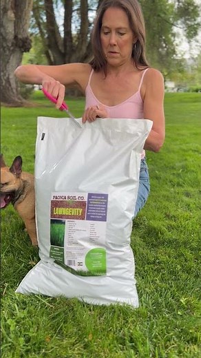 Blooper Reel: Our Scissors Quit on Camera 🎬