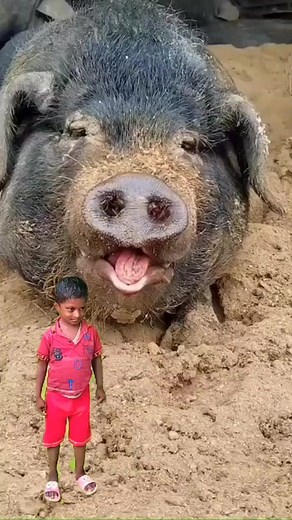 1.8M views · 4.8K reactions | OMG #funny #reels #viral #foryou #music #Facebook #trending Moj | Supriya Dazz | Facebook