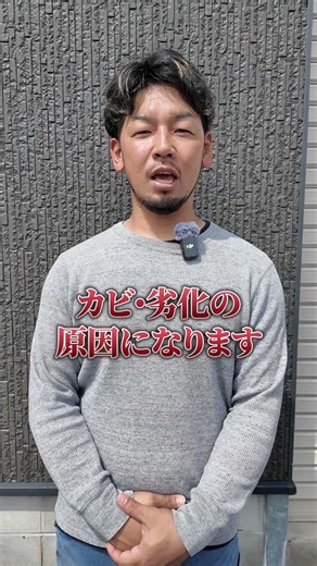 🌊 有明海の恵みを、食卓へ。株式潤輝が手がける初摘み生のり佃「MAJIME」。