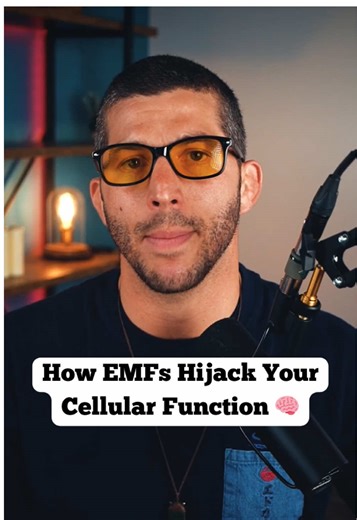 We’re constantly surrounded by WiFi, Bluetooth, or cell towers, which open up voltage-gated calcium channels in your cells like floodgates, letting calcium rush in. The result? Neurons fire chaotically, the heart’s rhythm destabilizes, and the immune system triggers inflammation. This constant calcium overload slowly calcifies the body inside and out. The most sensitive areas, the brain, heart, and reproductive system, are where most people feel it first: anxiety, palpitations, sleep issues, fer