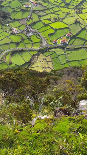 🌺🇵🇹 Flores, la joya más salvaje de las Azores, parece sacada de un cuento. 💧 Es conocida como la isla de las cascadas, ¡y no es para menos! Tiene más de 20 que caen directamente al océano. 🌊 Sus acantilados y lagunas volcánicas están protegidos por la UNESCO como Reserva de la Biosfera. 🌸 En primavera, literalmente florece: hortensias azules y rosas cubren caminos y praderas. 🐳 Y si miras al mar… no es raro ver ballenas y delfines surcando sus aguas. ¿Viajarías a este destino?✨ 📸@7x7newe