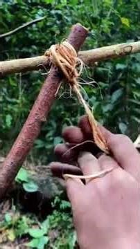 Ultimate Bushcraft: Building a Raised Jungle Shelter from Scratch