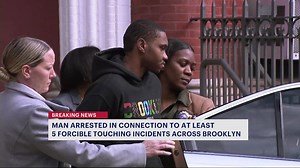 Vinegar Hill man arrested in connection to string of forcible touching incidents