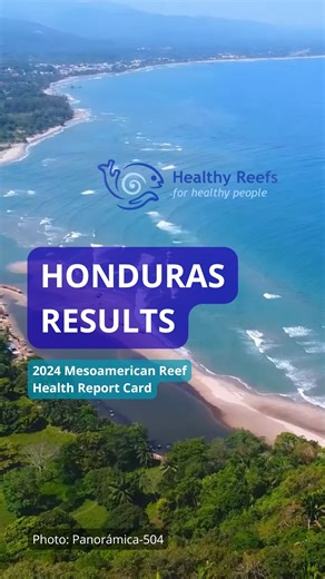 The Mesoamerican Reef in Honduras is facing a serious challenge: its reef health index is ranked as poor, mainly due to declining coral cover caused by bleaching. 💔🐠 It is urgent to strengthen commercial fishing surveillance, invest in field data, and enforce water quality standards to give our reefs a chance to recover. 💙 | Healthy Reefs for Healthy People