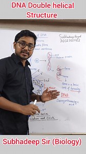 DNA Double Helical structure | Subhadeep Kayal