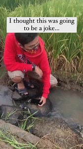 1.4K views | funny moments that make me laugh 2024 #meme #memezar #memes #funny #viral #explore #reelsvideofunny moments that make me laugh 2024 #meme #memezar #memes #funny #viral #explore #reelsvideo | Portal Master | Facebook