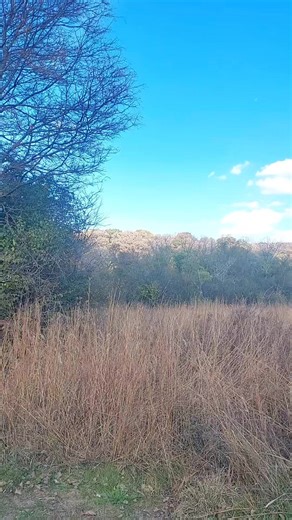 Joel Simpson on Reels