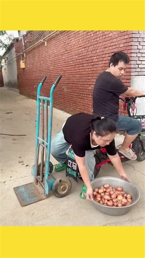 Explore the Magic of AI with Balli Bot Mogis