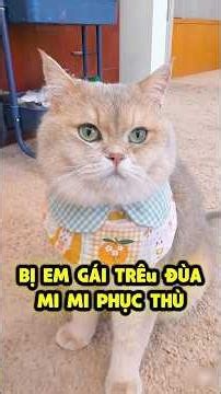 Mi Mi trả thù khi bị em gái trêu đùa 😁