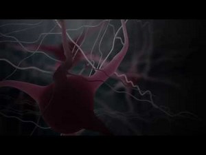 Alcohol on the Brain - Acute effects