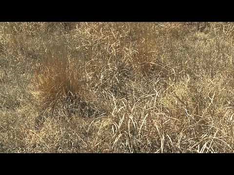 The Silver Lining - 25 Years of the Conservation Reserve Program