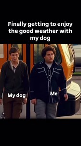 3.3K reactions · 146 comments | Fluffy! Sit! No! here fluffy!!...